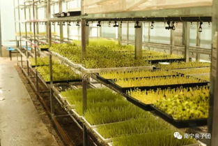 亲近自然 乐在农耕 乡村大世界亲子体验之旅