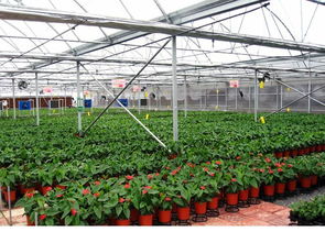 普特阳光板 现代温室建设的理想选择