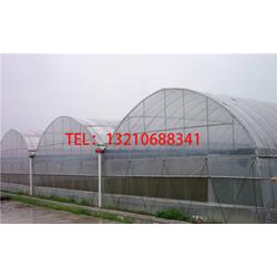 薄膜温室大棚 从批发、供应到优质厂家的全链条解析
