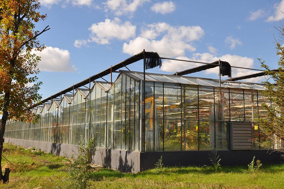 跨域发展 新疆、西藏、四川、内蒙连栋智能温室大棚建造与造价分析