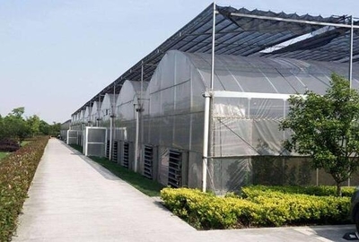 绿色保障，信誉见证 安庆市阳光板连栋温室大棚库存充足之优势解析