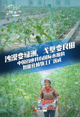 在世界屋脊湘遇丨湖南援藏又三年，高原会记得他们的故事 温室